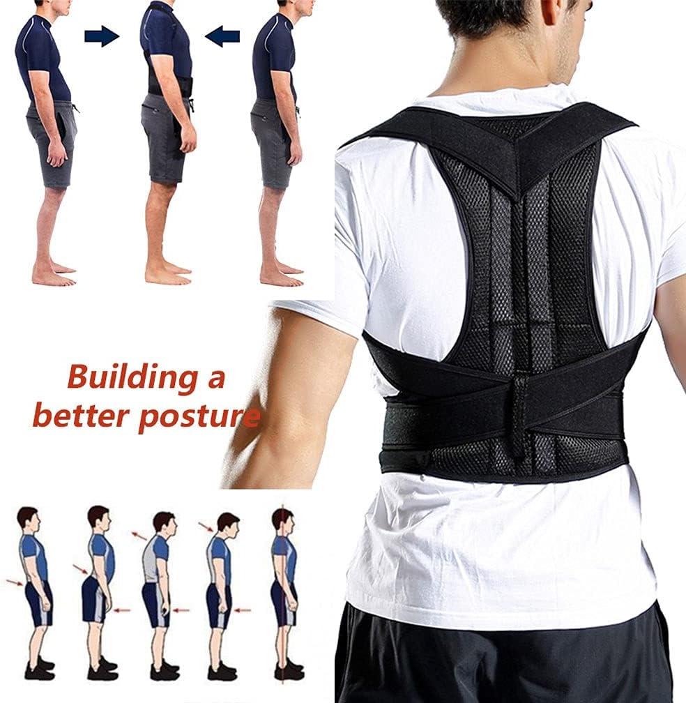 Royal Posture Back Support Belt