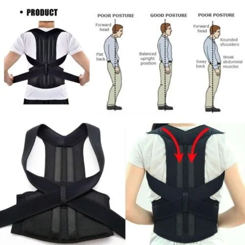 Royal Posture Back Support Belt - Image 2